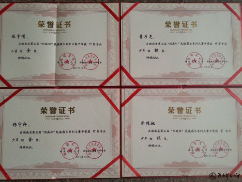 喜讯:bbin直营网学生在湖南省第五届“洞庭杯”民族器乐大赛中摘金夺银